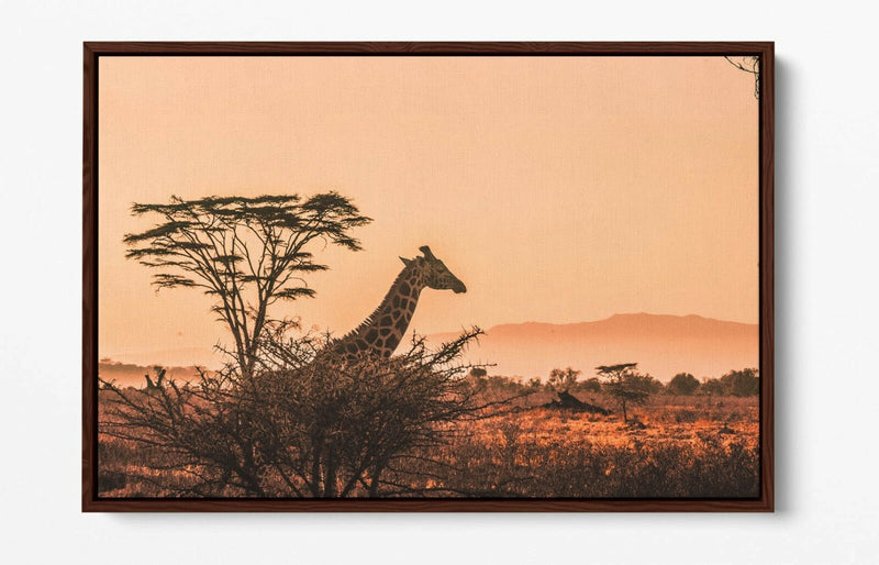 Float Effect Canvas Art - Giraffe Canvas Print on MDF Frame | Premium Satin Finish