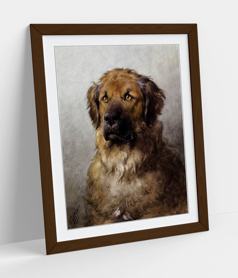 Framed Wall Art - Otto Ereleman, Head Of A Leonberger | Handmade UK Art Poster Print