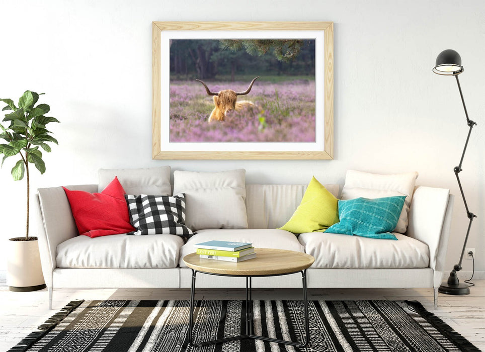Highland Cow Wall Art – Framed Rustic Animal Art | Purple Flower Decor Print