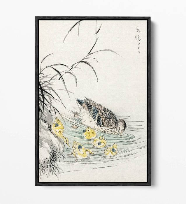 Canvas Wall Art Print - Duck and Ducklings Float Effect on Premium 30mm Deep Frame
