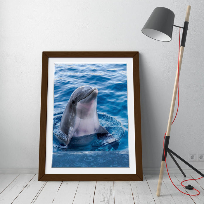 Dolphin Wall Art – Cute Dolphin Print Framed Art Poster | Handmade UK Frame