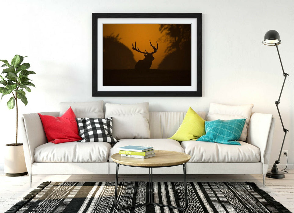 STAG SILHOUETTE SUNSET -WALL ART FRAMED POSTER PICTURE PRINT- ANIMAL PHOTOGRAPHY