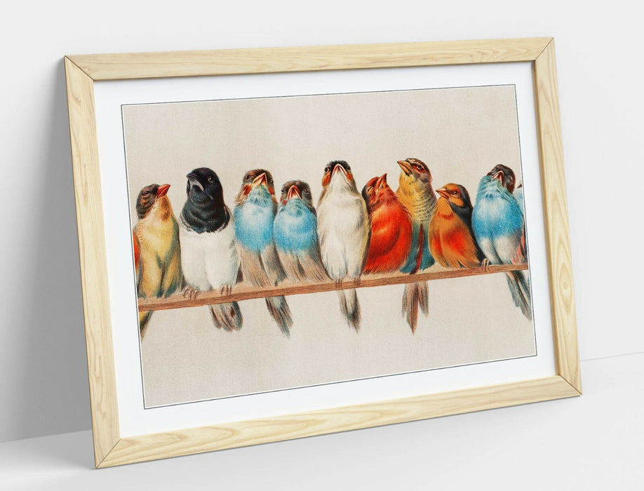 BIRDS ON A PERCH VINTAGE ART -ART FRAMED POSTER PICTURE PRINT ARTWORK- RED BLUE