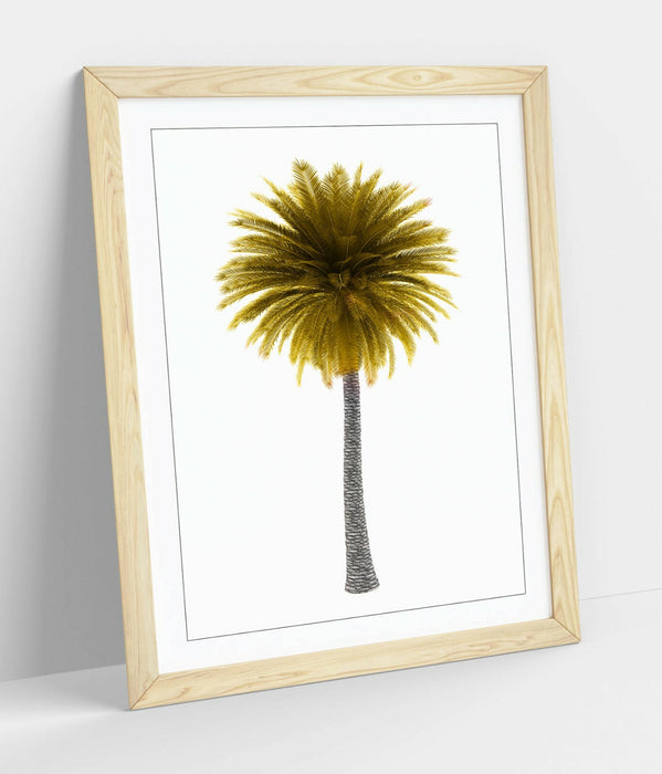 YELLOW PALM TREE -ART FRAMED POSTER PICTURE PRINT ARTWORK-