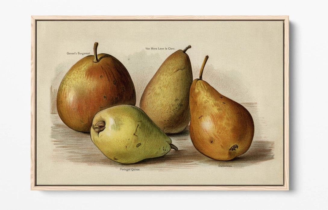 Canvas Wall Art | Handmade UK Canvas With 30mm Deep Frame & Scratch Resistant Premium Varnish