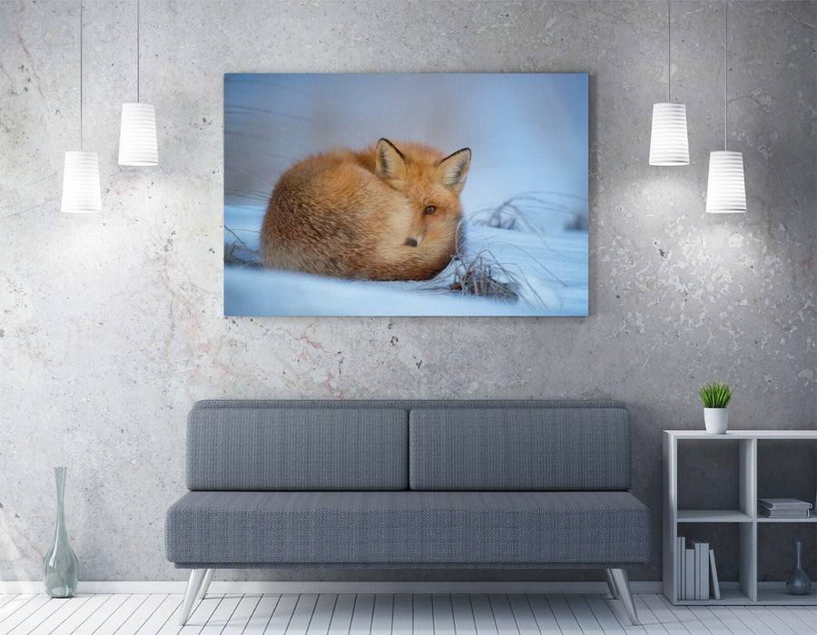 RED FOX SNOWY LANDS, WILDLIFE PHOTOGRAPY -CANVAS WALL ART PRINT ARTWORK FRAME