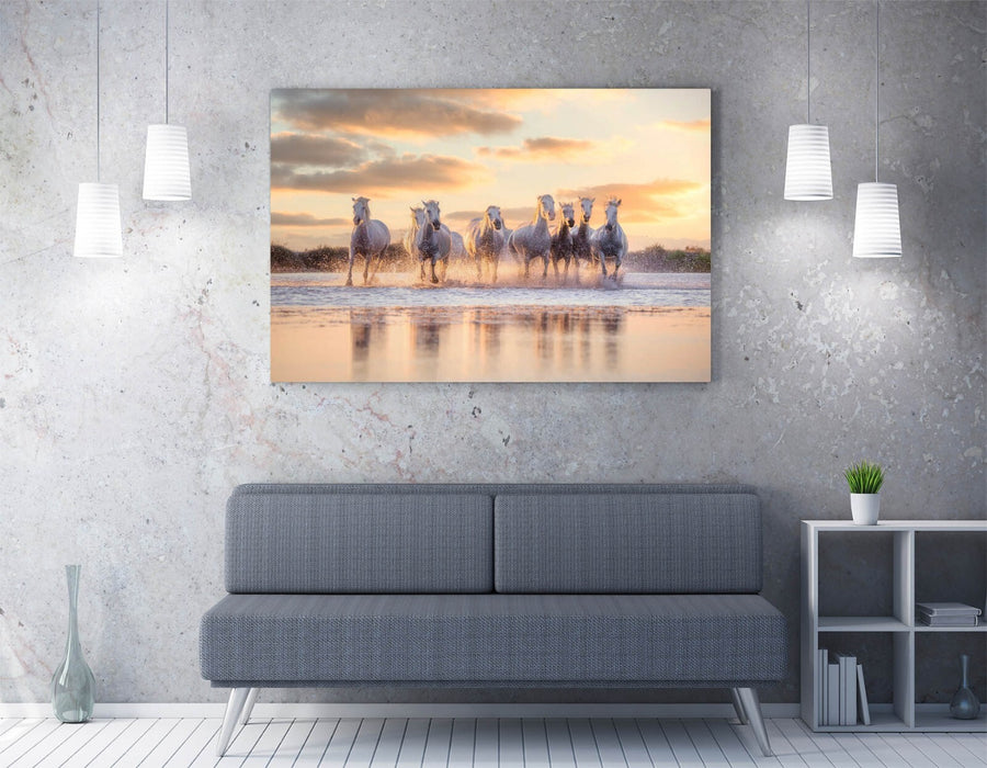 Horses Canvas Art Featuring White Horses Painting | Vibrant Wall Art Ready To Hang