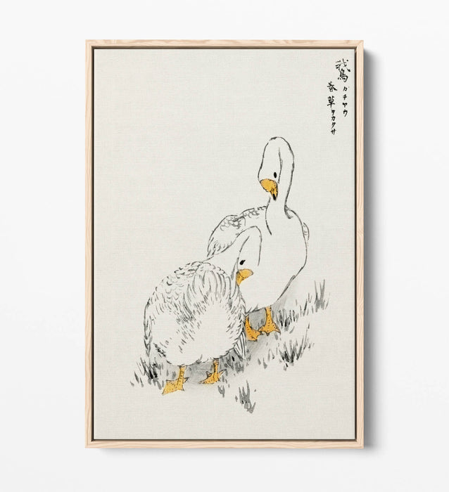 Canvas Wall Art Print – Duck And Young Grass On Float Effect Canvas Frame