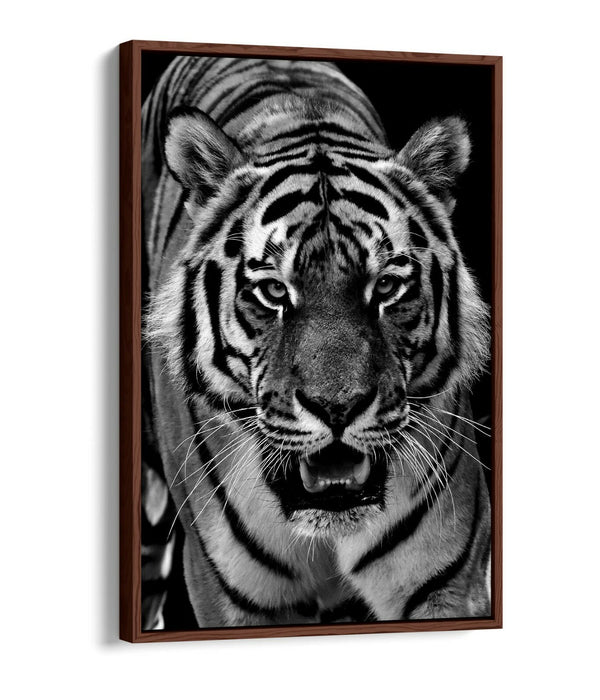 TIGER BLACK AND WHITE -FLOAT EFFECT CANVAS WALL ART PIC PRINT-