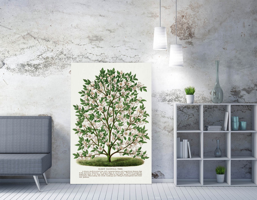 Magnolia Tree Canvas - Handmade UK Botanical Canvas Print With Vibrant Color