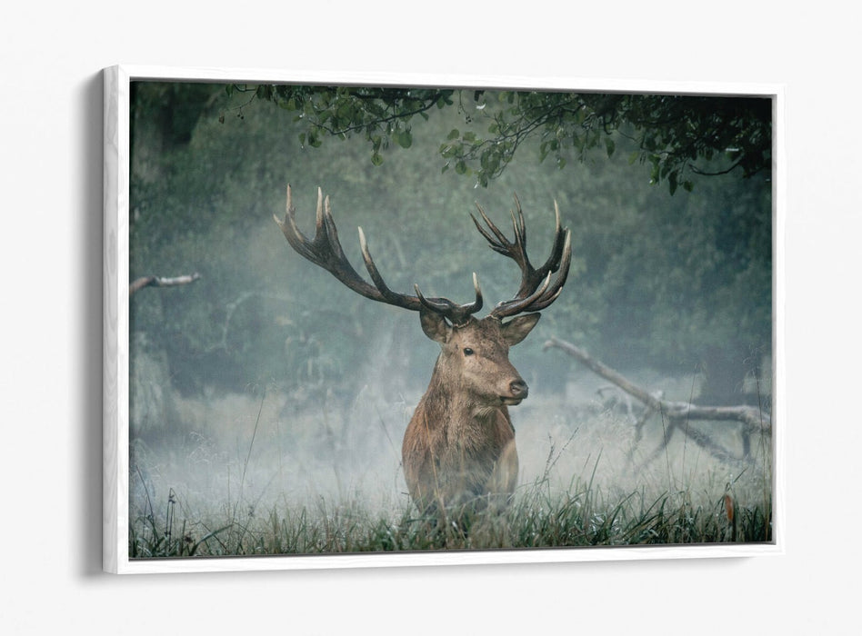 MAJESTIC STAG -FLOAT EFFECT CANVAS WALL ART PIC PRINT- ANIMAL PHOTO