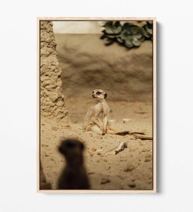 Canvas Wall Art - Cute Meerkat Print With Float Effect | Handmade UK Bedroom Decor