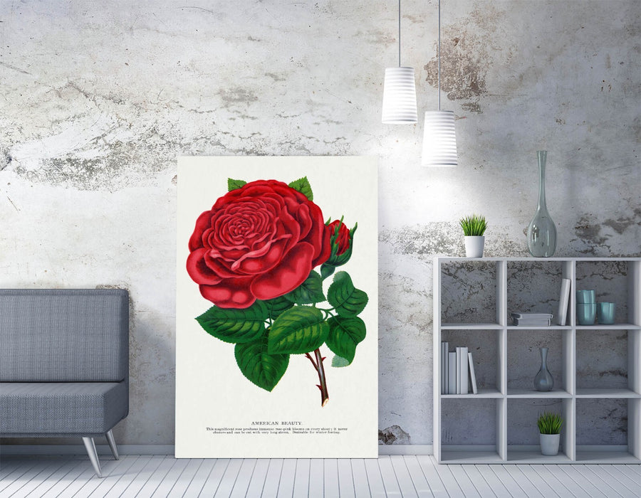 Red Rose Canvas Art – American Beauty Rose Floral Print on Archival Grade Canvas