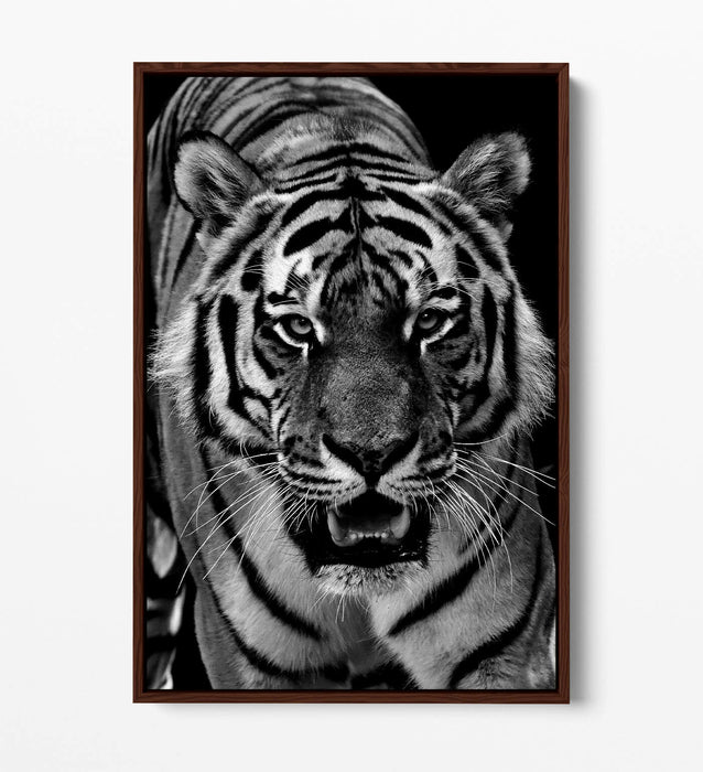TIGER BLACK AND WHITE -FLOAT EFFECT CANVAS WALL ART PIC PRINT-