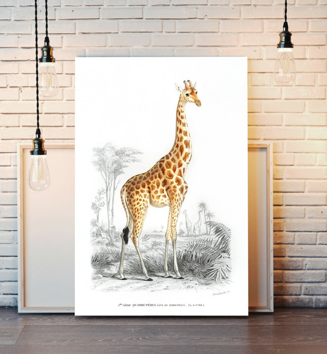 Vintage Giraffe Wall Art – Handmade Canvas Print With Premium Varnish Finish