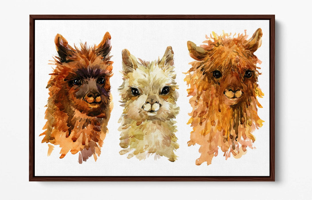 Alpaca Canvas Wall Art - Watercolour Style Float Effect Print With MDF Frame