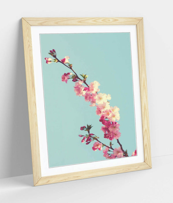 CHERRY BLOSSOM TEAL -ART FRAMED POSTER PICTURE PRINT ARTWORK- CYAN