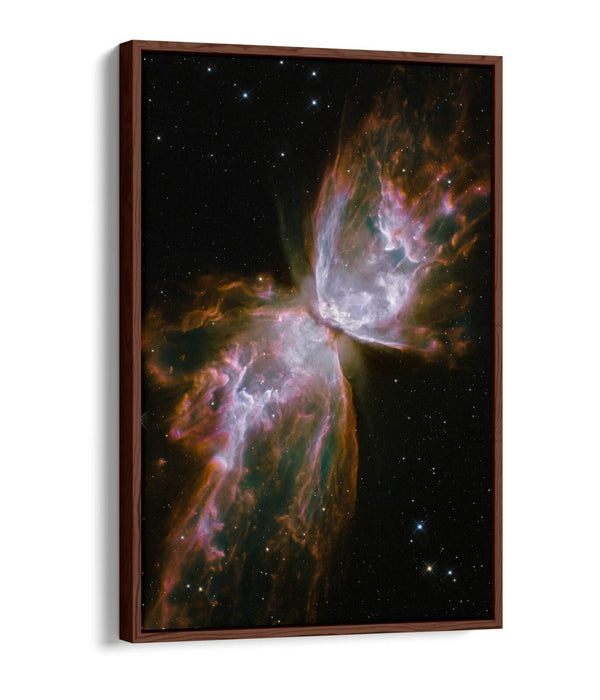 NASA PLANETARY NEBULA NGC -FLOAT EFFECT CANVAS WALL ART PIC PRINT- LILAC ORANGE