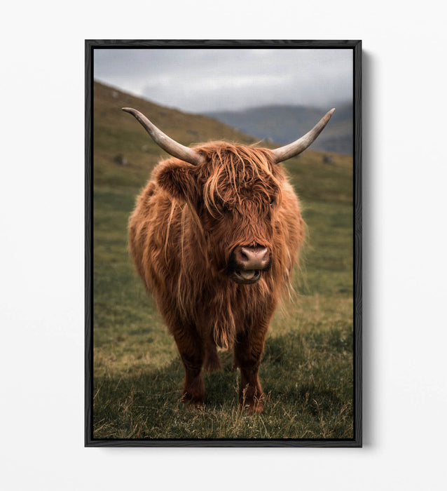 Canvas Wall Art - Highland Cow Print With Floating Canvas Frame | UK Made Home Decor