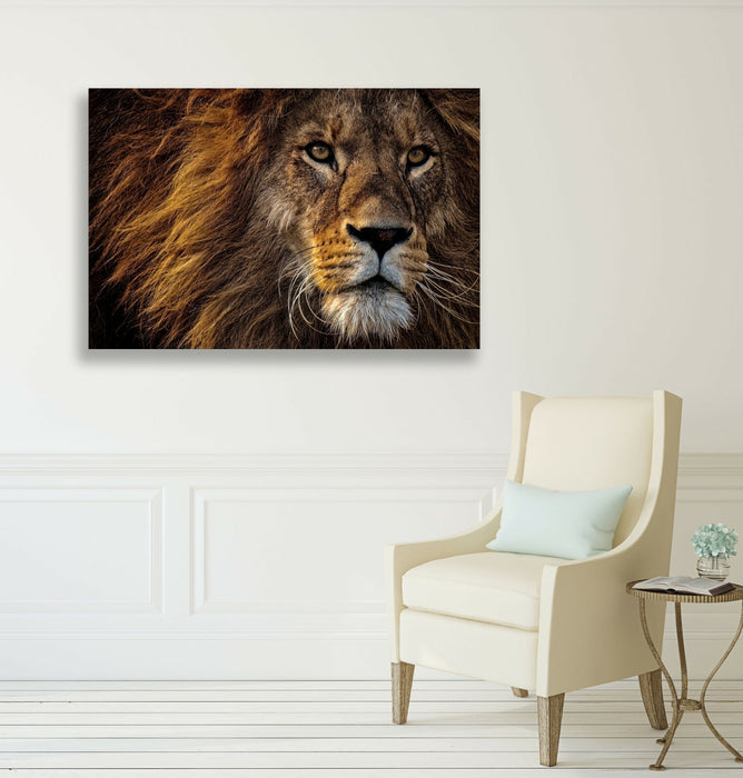 LION HEAD CANVAS WALL ART PRINT ARTWORK FRAMED  STRENGTH FIERCE COURAGE