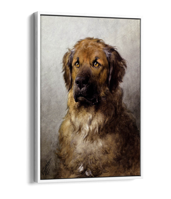Canvas Wall Art – Otto Ereleman Head Of Leonberger | Premium Float Effect Print