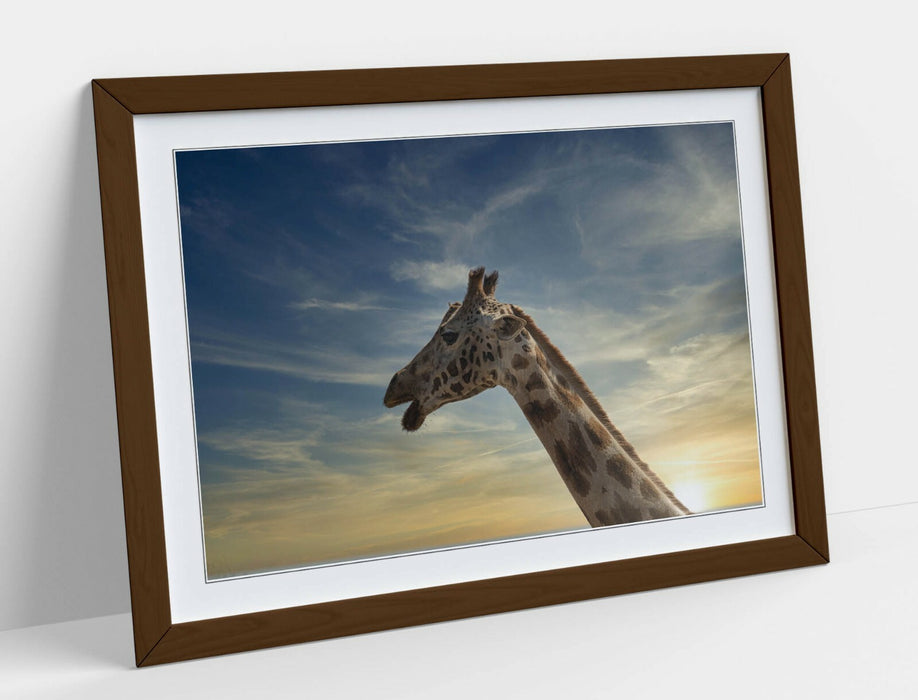 GIRAFFE IN THE CLOUDS -ART FRAMED POSTER PICTURE PRINT ARTWORK- ANIMAL PHOTO