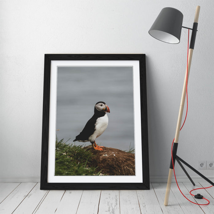 Puffin Wall Art - Framed Cliff Photography Print | UK Handmade Nature Decor