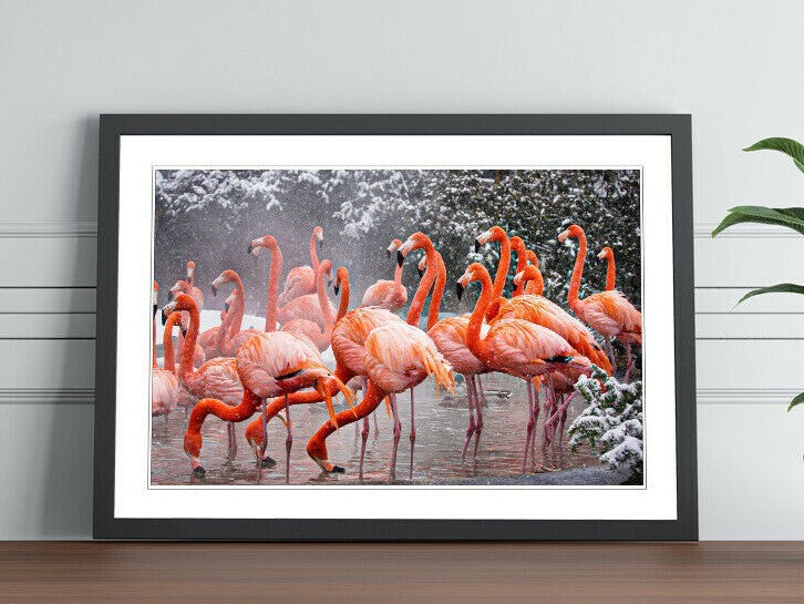 Flamingos Wall Art - Animal Framed Print With Natural Wood Frame, Ready To Hang