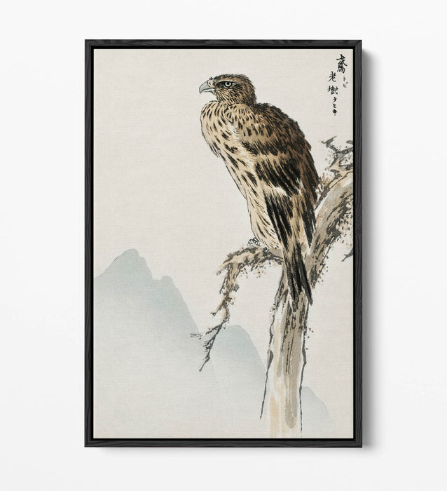Canvas Wall Art - Numata Kashu Black Eared Kite Float Effect Print on Premium Frame