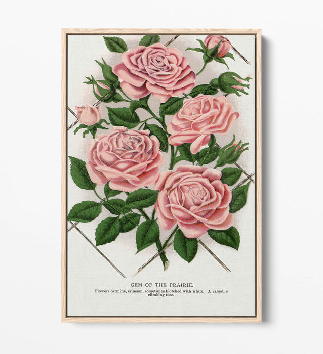 Float Effect Canvas Art – Pink Rose Prairie Lithograph Print | Handmade UK Wall Decor