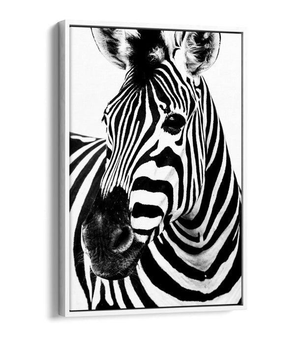ZEBRA HEAD FLOAT EFFECT CANVAS WALL ART PIC PRINT GRAFFITI- BLACK & WHITE