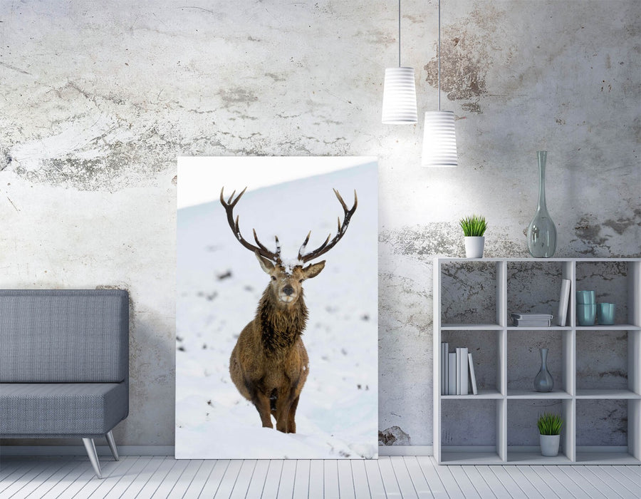 Stag Canvas Wall Art – Handmade Wildlife Print On Archival Grade Canvas
