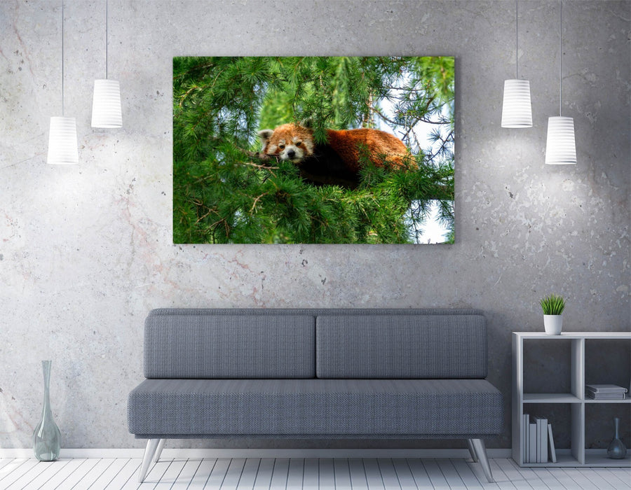 Red Panda Wall Art - Handmade Canvas Print | Cute Animal Artwork For Bedroom Decor