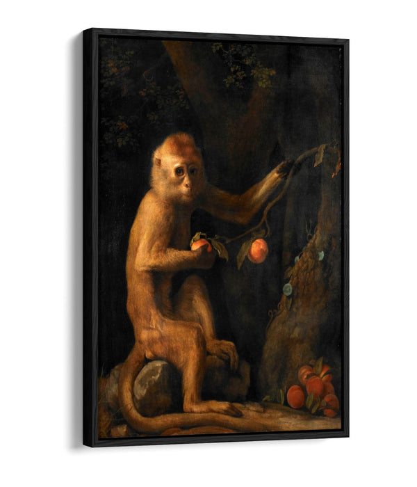 Canvas Wall Art Print – George Stubbs Monkey | Premium Float Effect Canvas