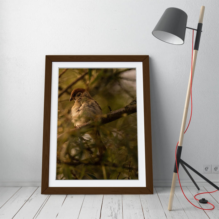 Bird Wall Art - Framed Tree Print With Woodgrain Frame | Bedroom Wall Decor
