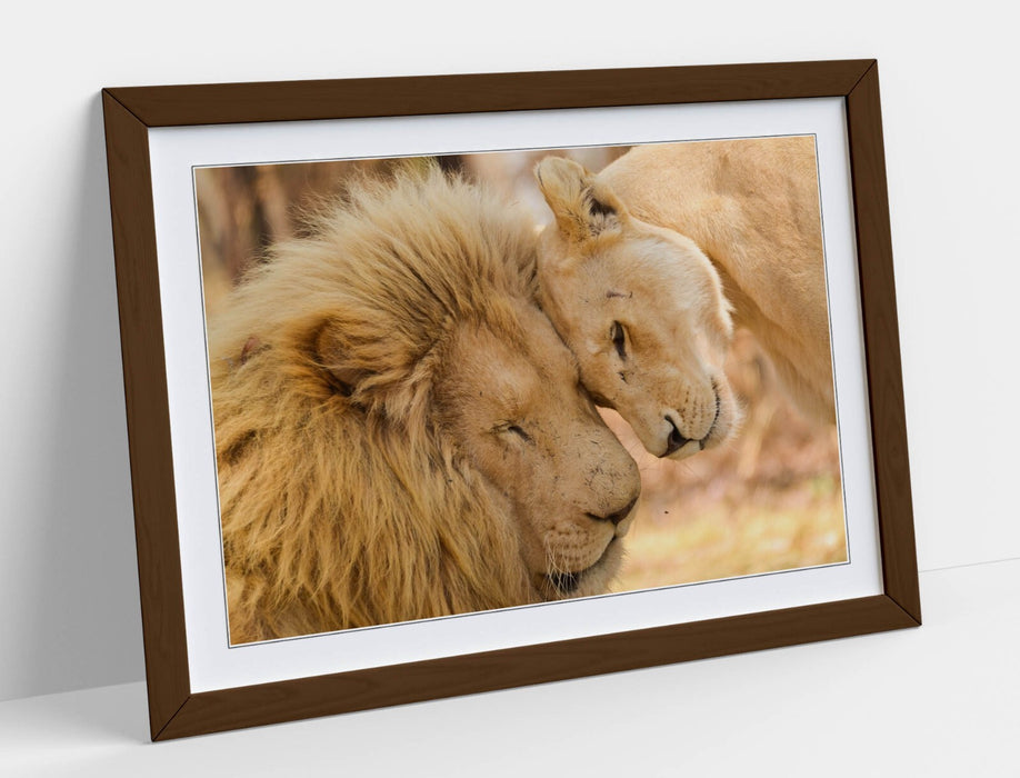 Framed Wall Art - Lions In Love Print | Handmade Bedroom Decor, Matte Paper Print