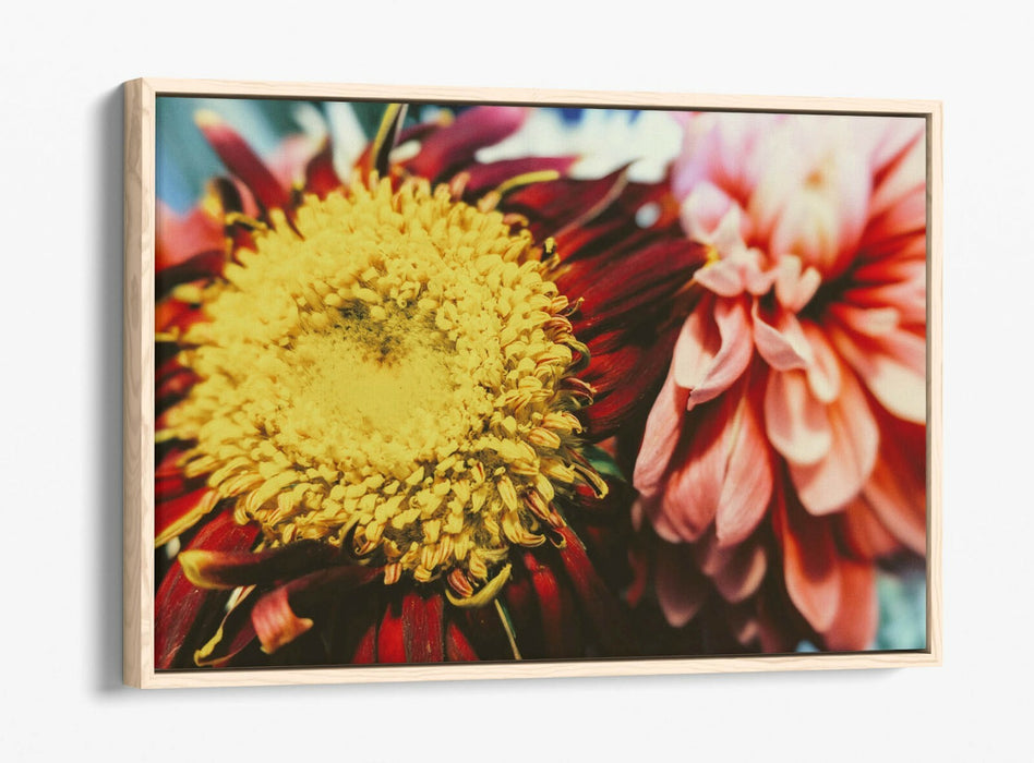 VINTAGE FLOWER -FLOAT EFFECT CANVAS WALL ART PIC PRINT- YELLOW RED PINK