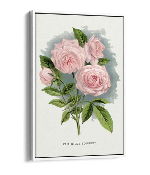 Canvas Wall Art Print – Pink Rose Artwork | Float Effect Canvas, Vibrant Colour Prints