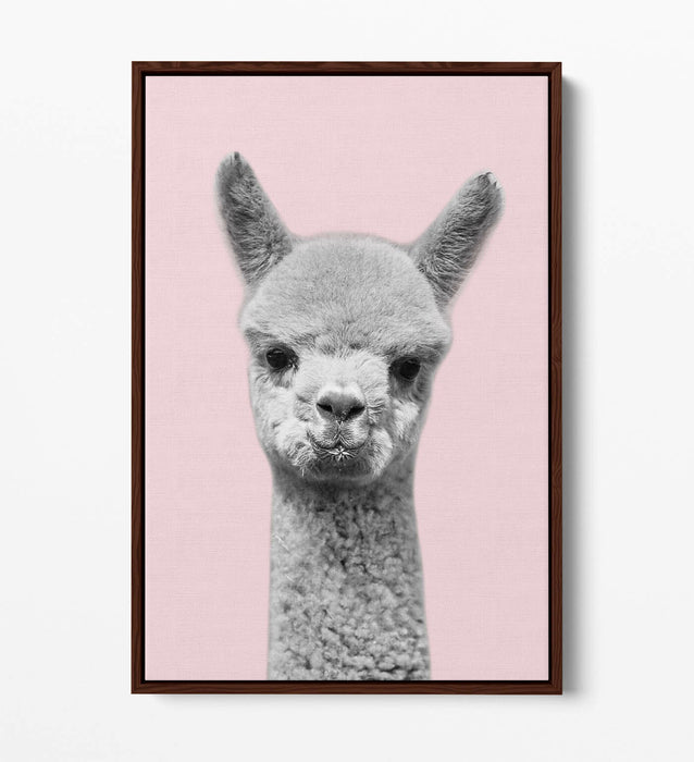 ALPACA BLACK WHITE BABY PINK FLOAT EFFECT CANVAS WALL ART PIC PRINT