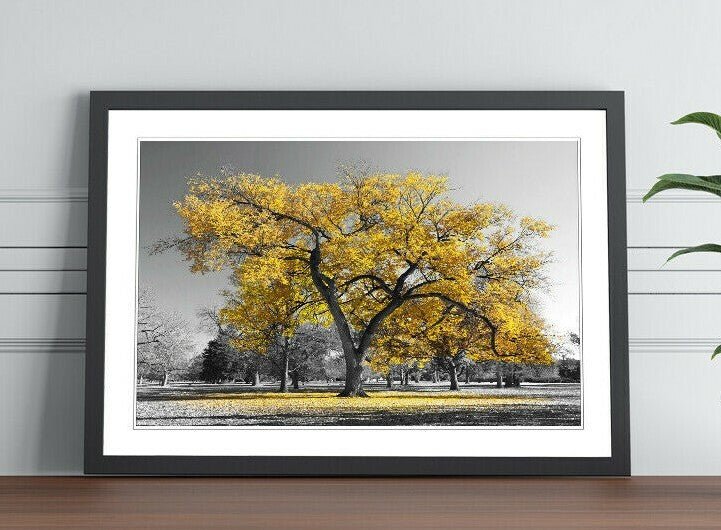 Framed Wall Art Poster Large Tree Yellow Leaves Black White Print - Matte Paper