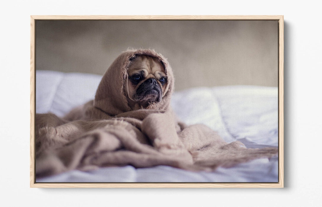 Pug Dog Canvas Art - Cute Bedroom Wall Decor | Handmade Float Effect Print