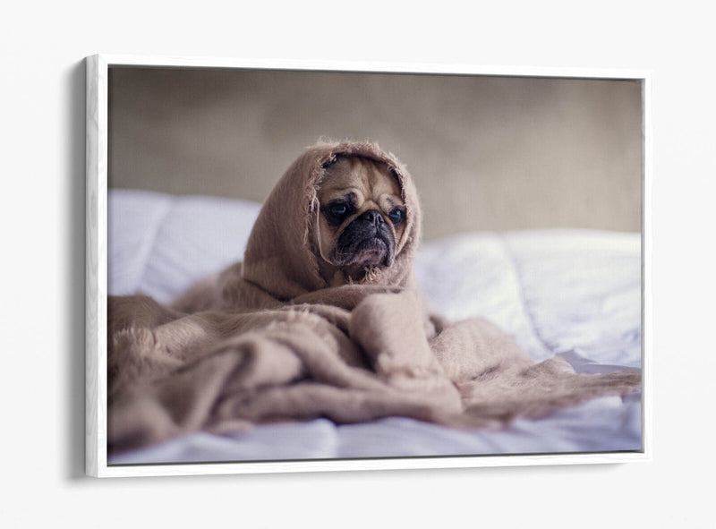 Pug Dog Canvas Art - Cute Bedroom Wall Decor | Handmade Float Effect Print