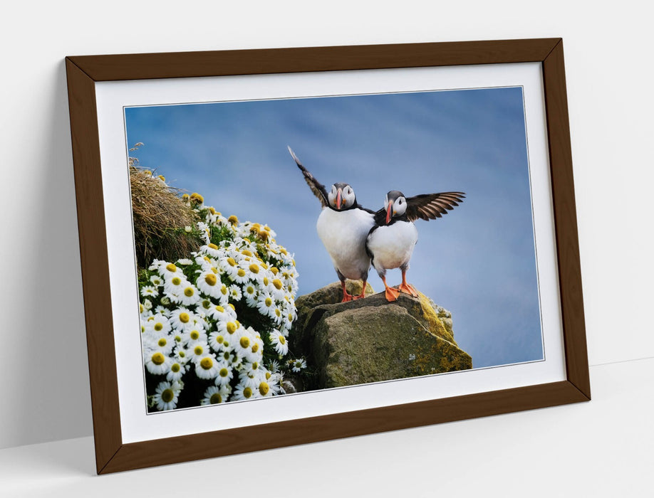 Framed Wall Art - Puffin Art Print on Cliff Edge | Bedroom Wall Decor, UK Handmade Frames