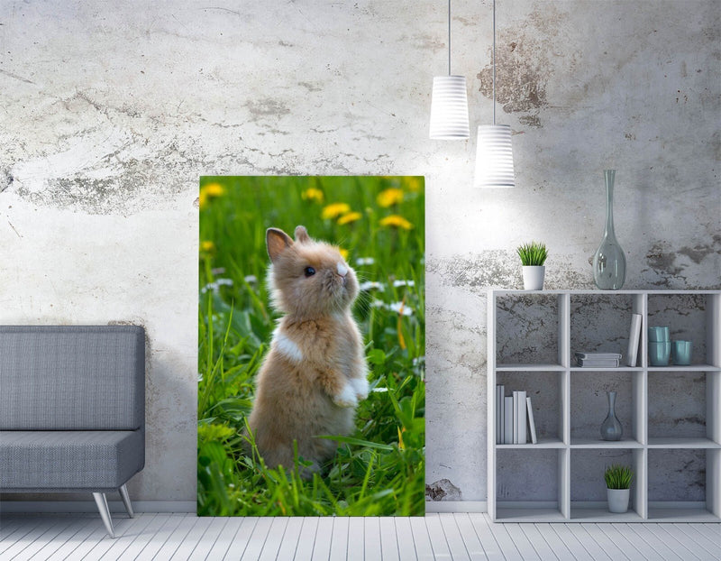 Bunny Canvas Art – Cute Rabbit Wall Decor | Handmade Canvas Print UK
