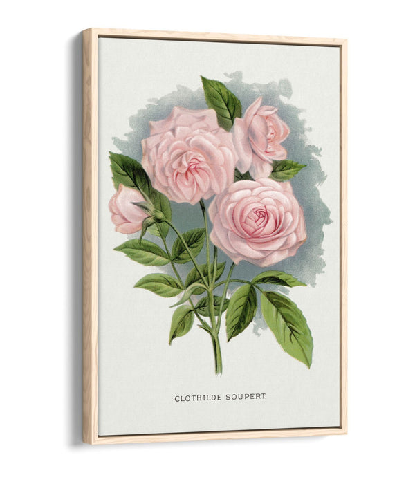 Canvas Wall Art Print – Pink Rose Artwork | Float Effect Canvas, Vibrant Colour Prints