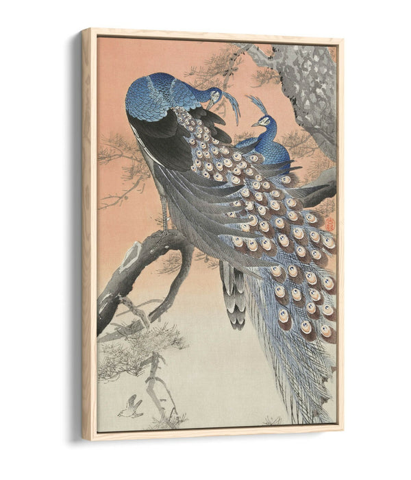 OHARA KOSON, TWO PEACOCKS ON TREE BRANCH -FLOAT EFFECT CANVAS WALL ART PIC PRINT