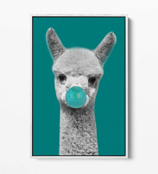 ALPACA BLACK WHITE TEAL BUBBLEGUM FLOAT EFFECT CANVAS WALL ART PIC PRINT