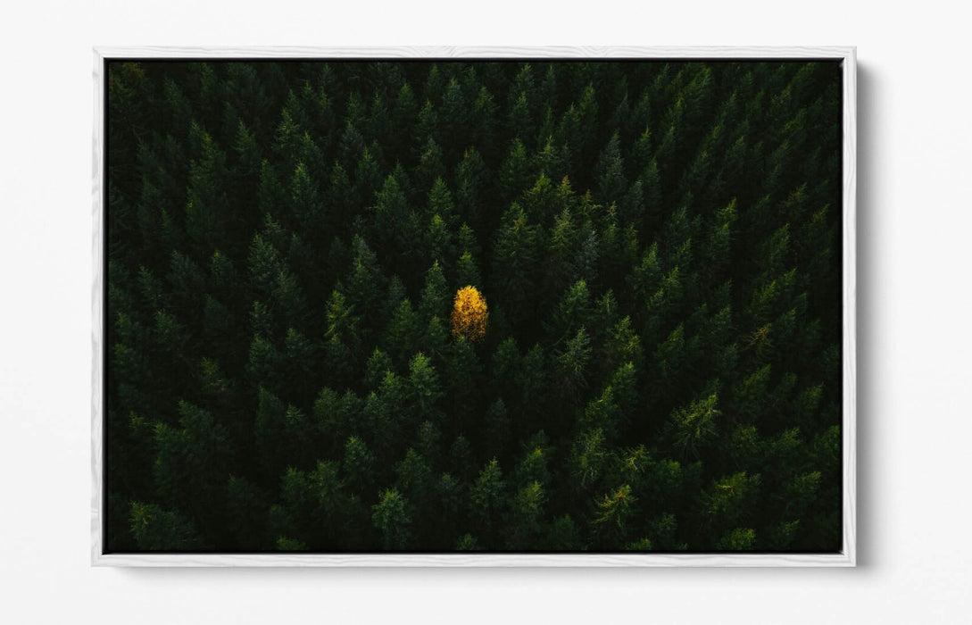 YELLOW TREE IN FOREST HOME BEDROOM DECOR FLOAT EFFECT CANVAS WALL PRINT