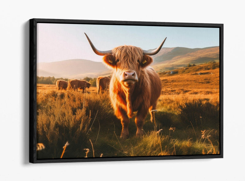 Float Effect Canvas - Highland Cows Print | Premium Varnish Finish Wall Art