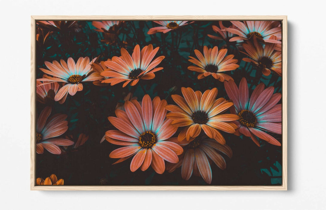 VINTAGE TEAL PEACH FLOWERS -FLOAT EFFECT CANVAS WALL ART PIC PRINT-